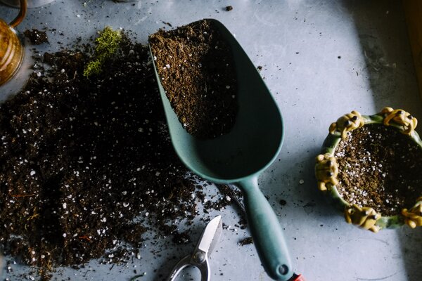 Eine grüne, mit Erde gefüllte Gartenkelle liegt auf einem Tisch, umgeben von verstreuter Erde und Gartengeräten, darunter ein kleiner Topf und eine Gartenschere.